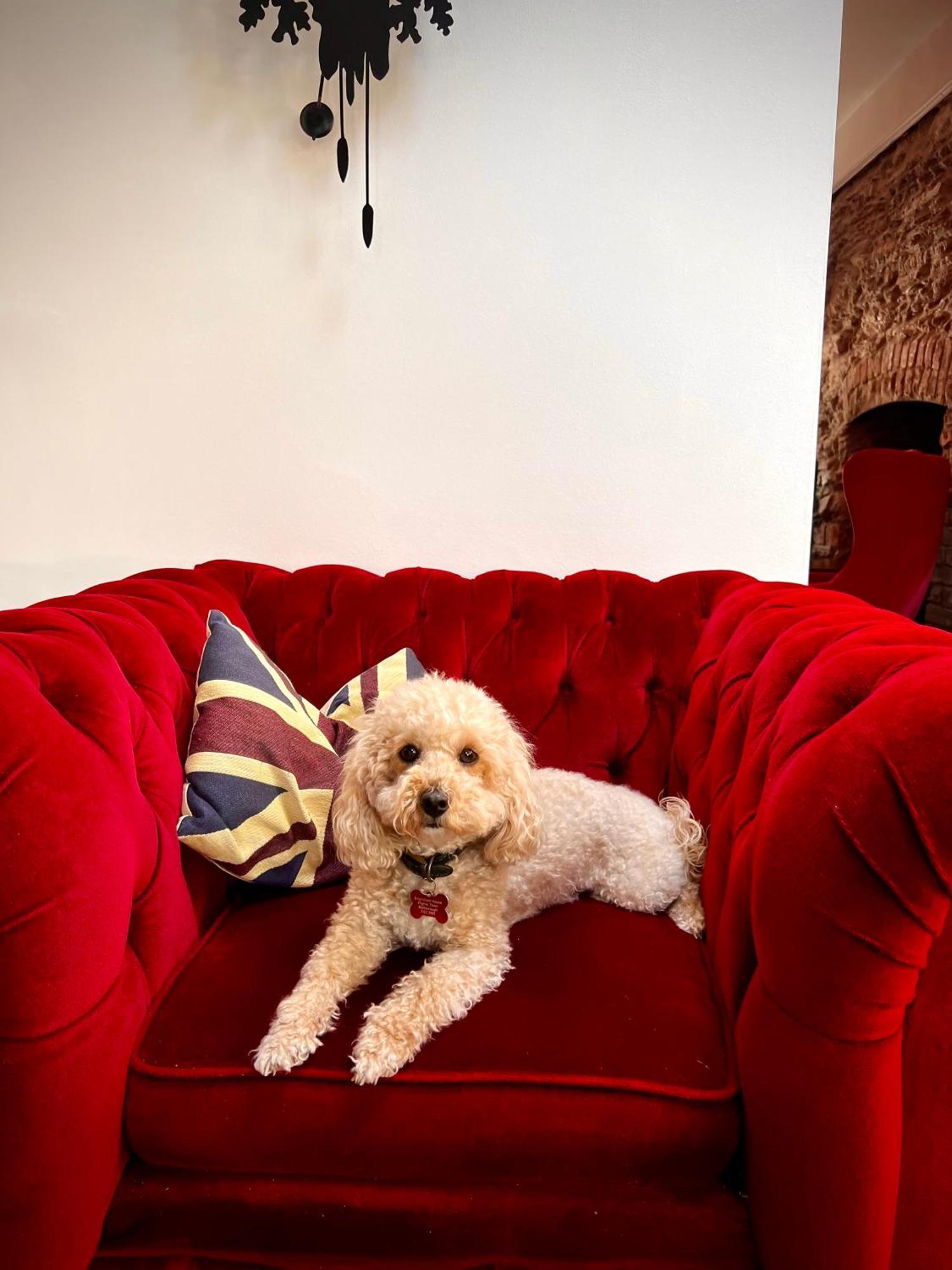Bed and Breakfast Brightham House - Exclusively For Adults Солкомб Экстерьер фото